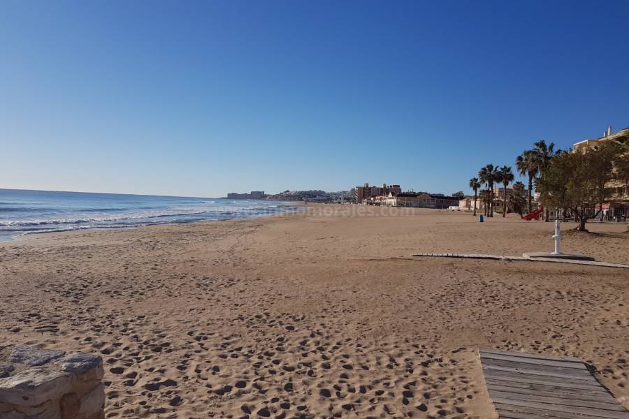 Costa y Playa - Apartamento / Piso - La Mata
