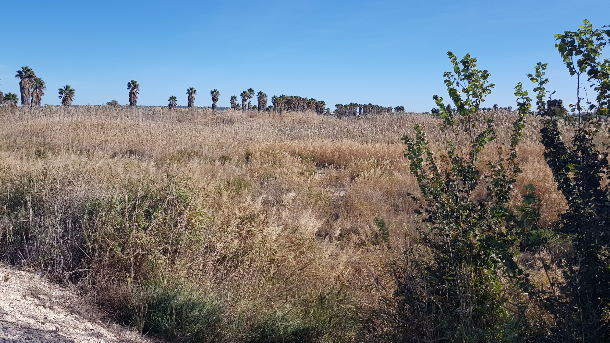 Land for sale in Dolores, Costa Blanca