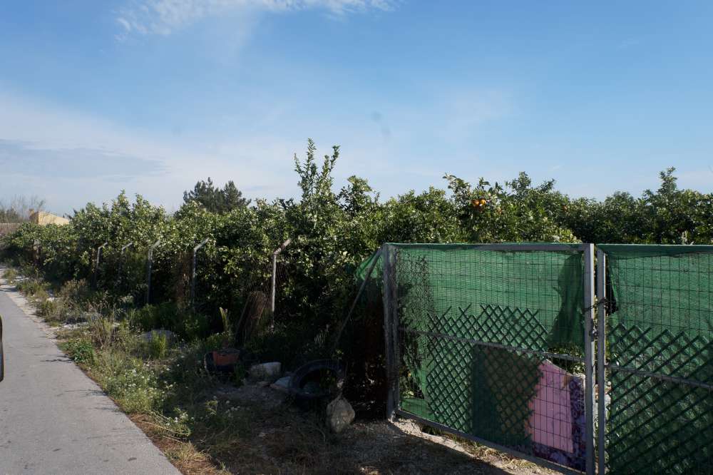 Land for sale in Almoradí, Costa Blanca