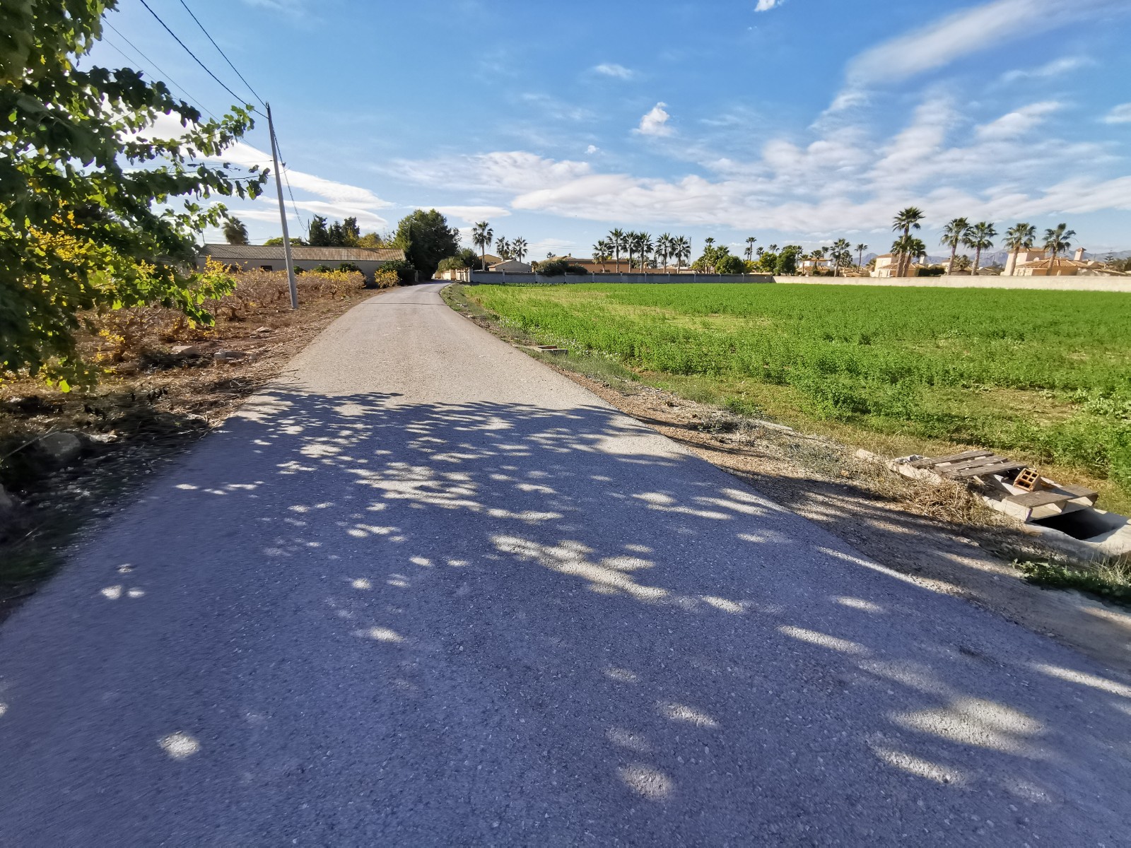 Land for sale in Catral, Costa Blanca