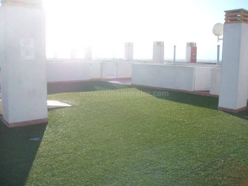 Revente - Appartement - Almoradí