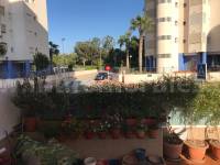 Venta - Apartamento / Piso - Guardamar del Segura