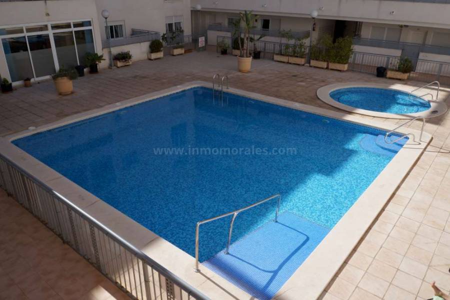 Venta - Apartamento / Piso - Almoradí