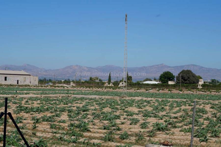 Revente - Appartement - Almoradí