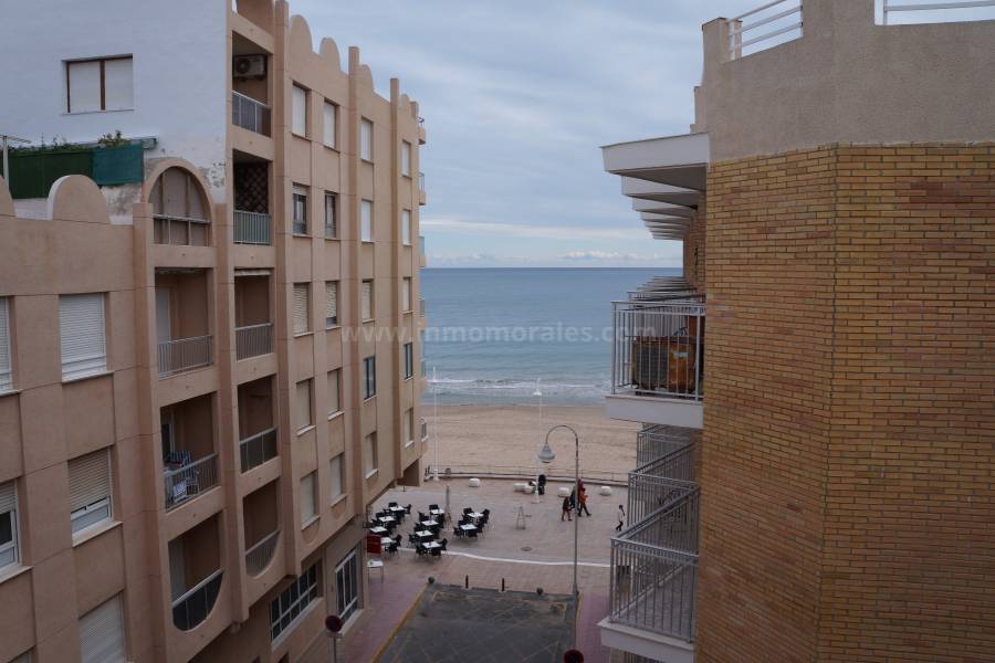 Strand und Küste - Wohnung/Apartment - Guardamar del Segura