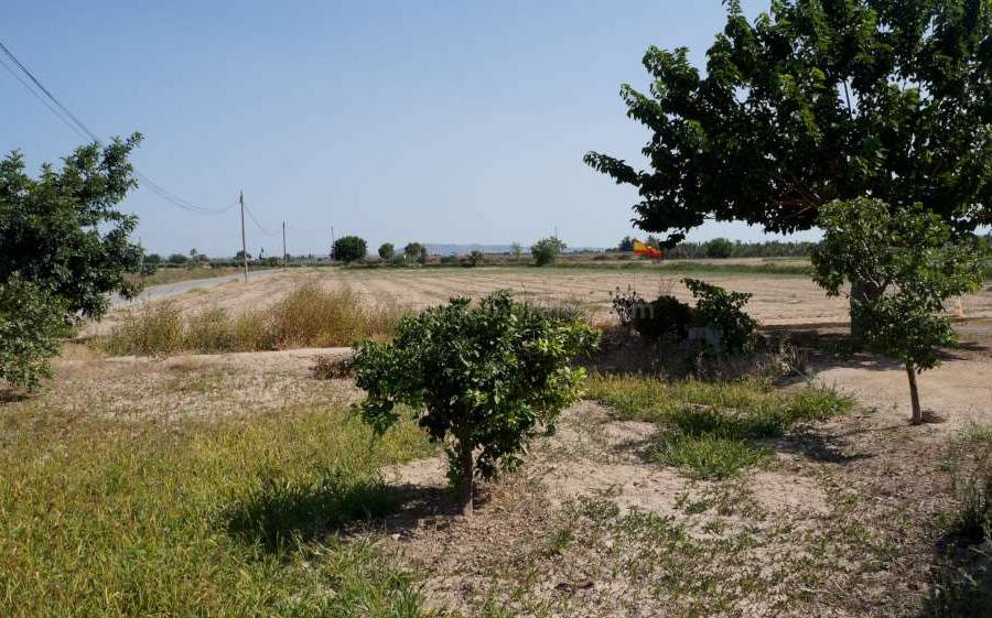 Venta - Para Reformar - Catral