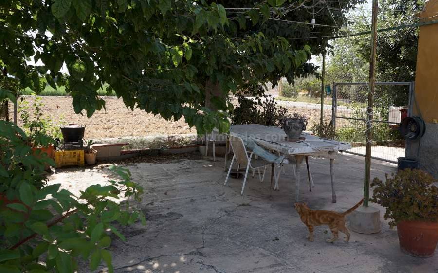 Venta - Para Reformar - Catral