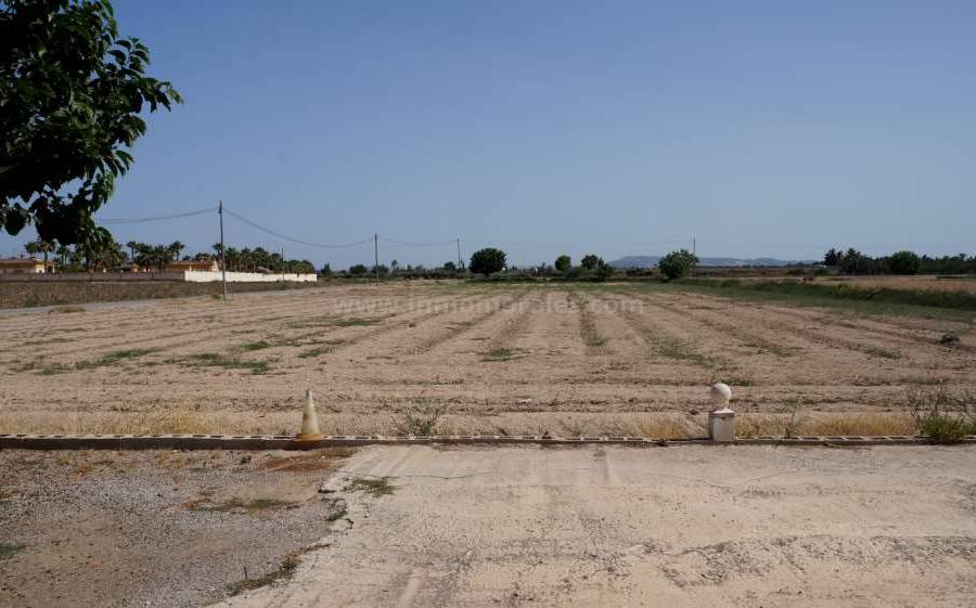 Venta - Para Reformar - Catral