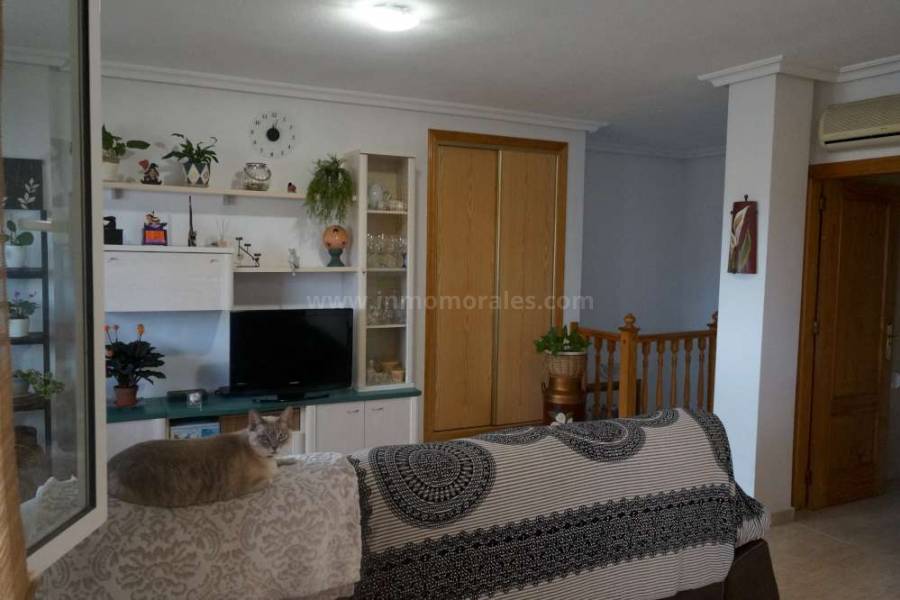 Revente - Appartement - Daya Vieja