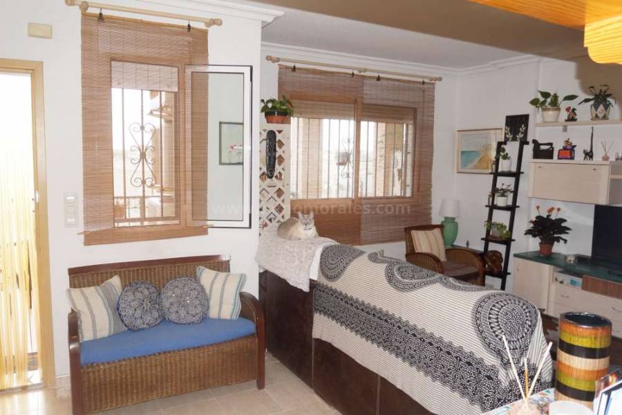 Resale - Apartment  - Daya Vieja