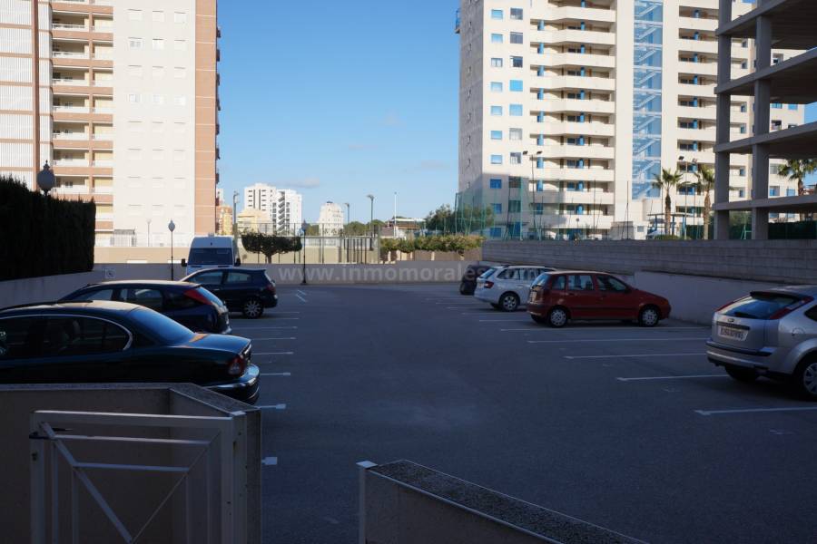 Strand und Küste - Wohnung/Apartment - Guardamar del Segura