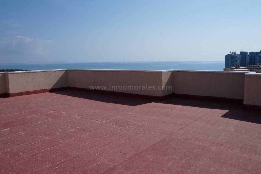 Coast and Beach - Apartment  - Guardamar del Segura