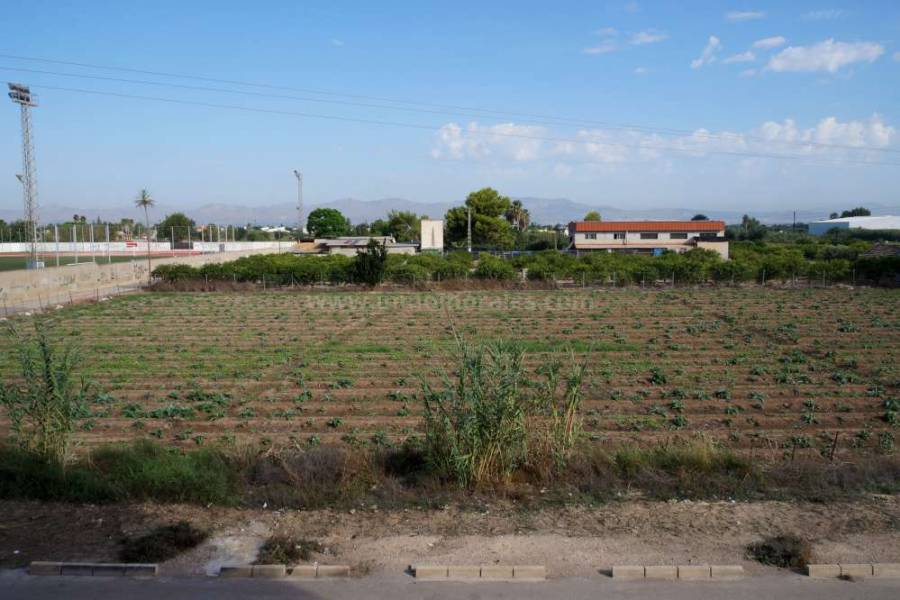 Revente - Appartement - Almoradí