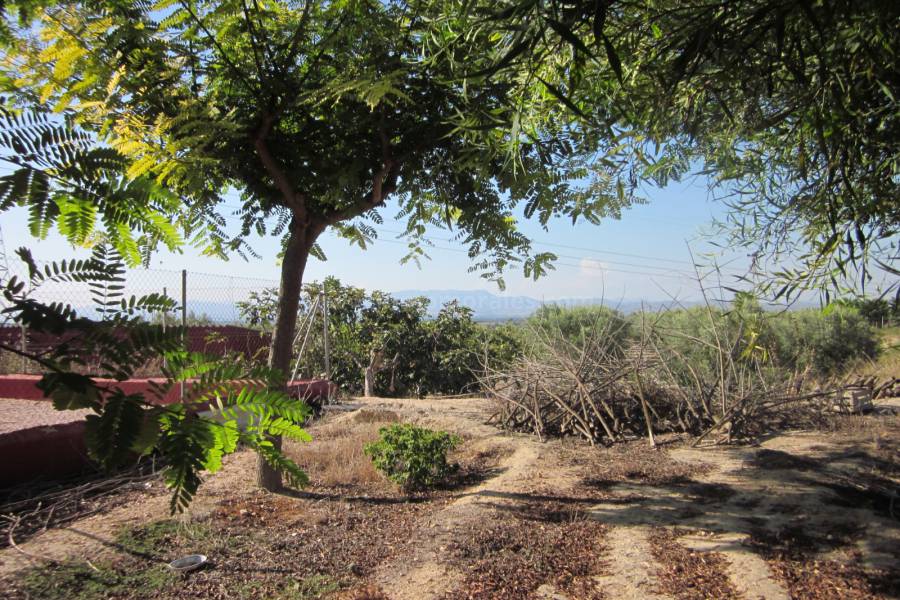 Wiederverkauf - Villa ( Finca ) - Elche