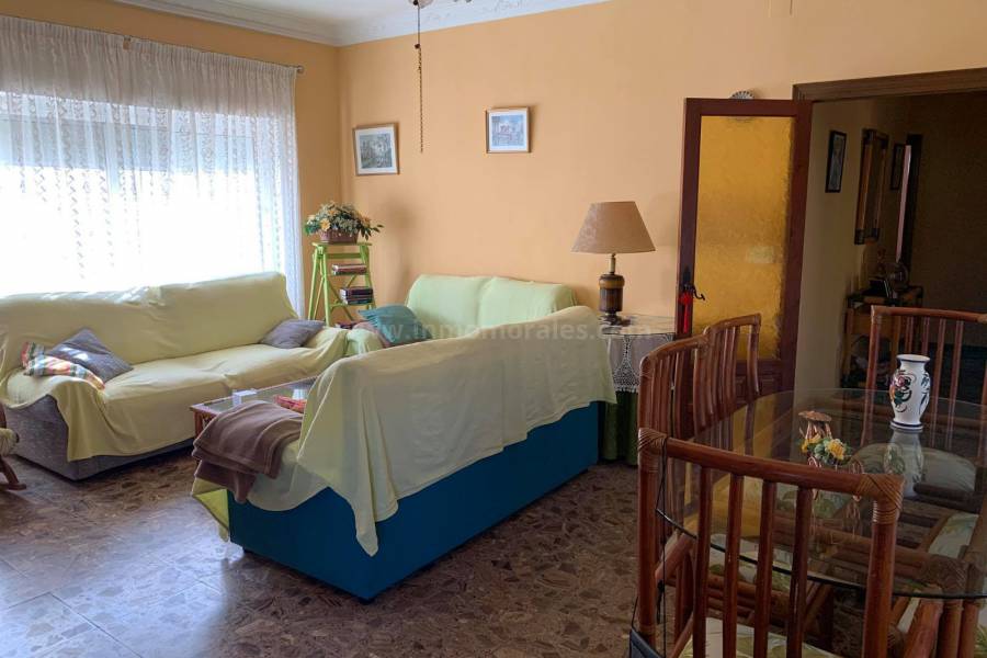 Coast and Beach - Country Villa   - Guardamar del Segura