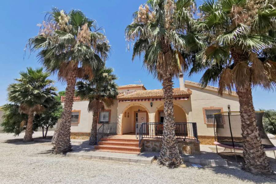 Herverkoop - Villa ( Finca ) - Catral