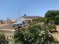 Strand und Küste - Villa ( Finca ) - Guardamar del Segura