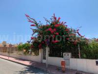 Coast and Beach - Country Villa   - Guardamar del Segura