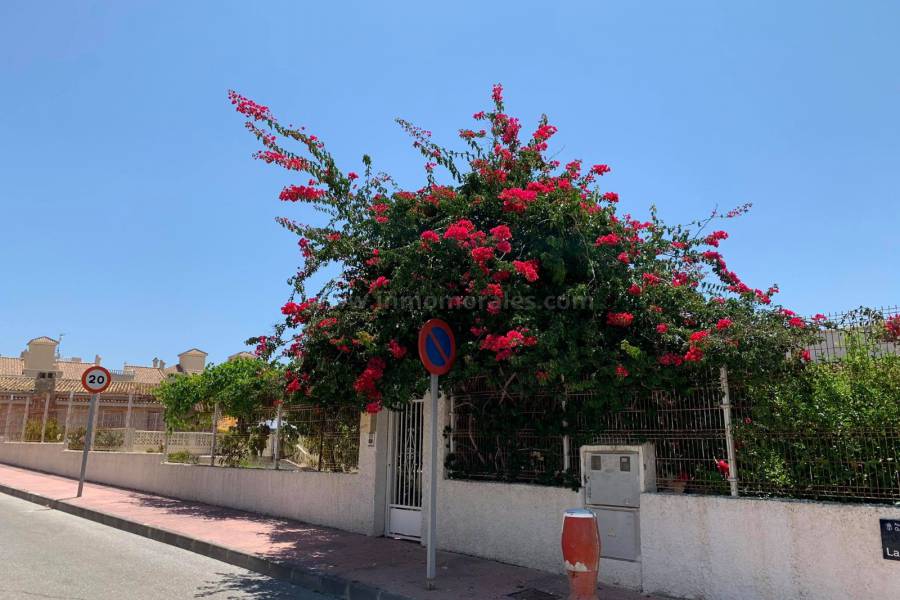 Strand en Kust - Villa ( Finca ) - Guardamar del Segura