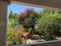 Coast and Beach - Country Villa   - Guardamar del Segura