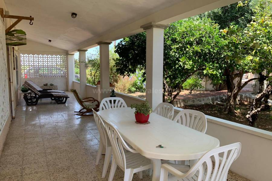 Coast and Beach - Country Villa   - Guardamar del Segura