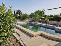 Resale - Country Villa   - Algorfa