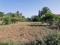 Herverkoop - Villa ( Finca ) - Algorfa