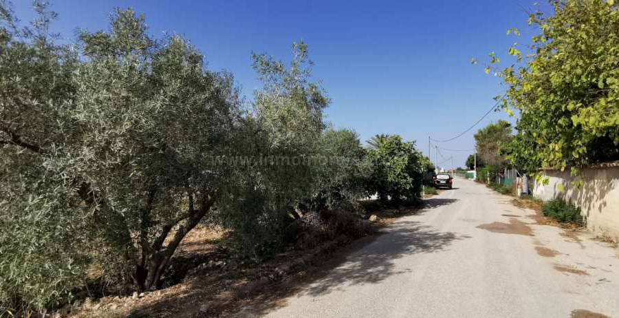 Herverkoop - Villa ( Finca ) - Algorfa