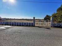 Terrenos - Terreno/Solar - Catral
