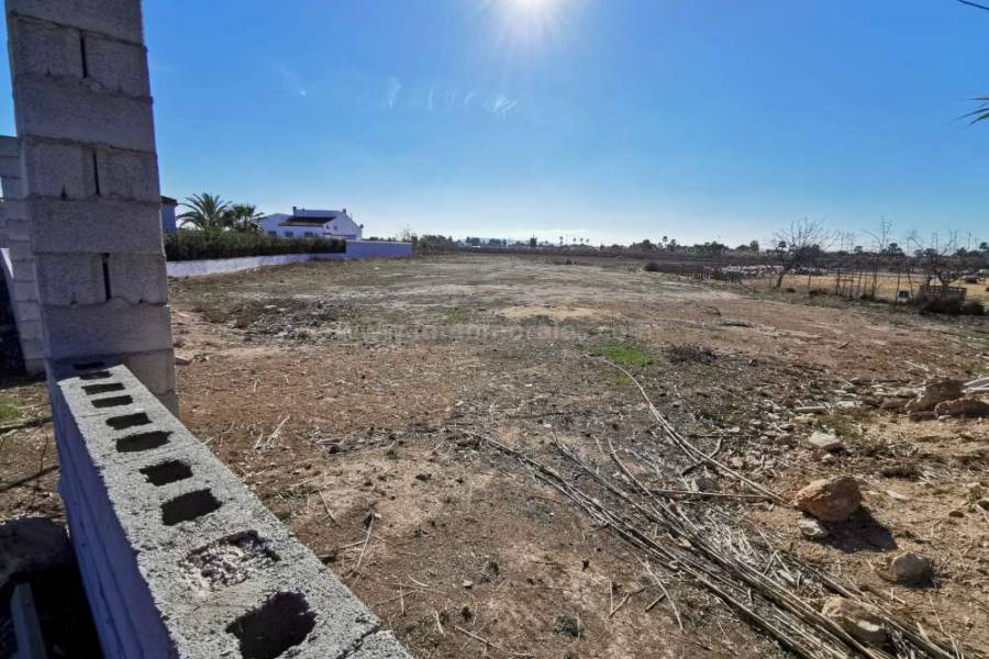 Terrenos - Terreno/Solar - Catral