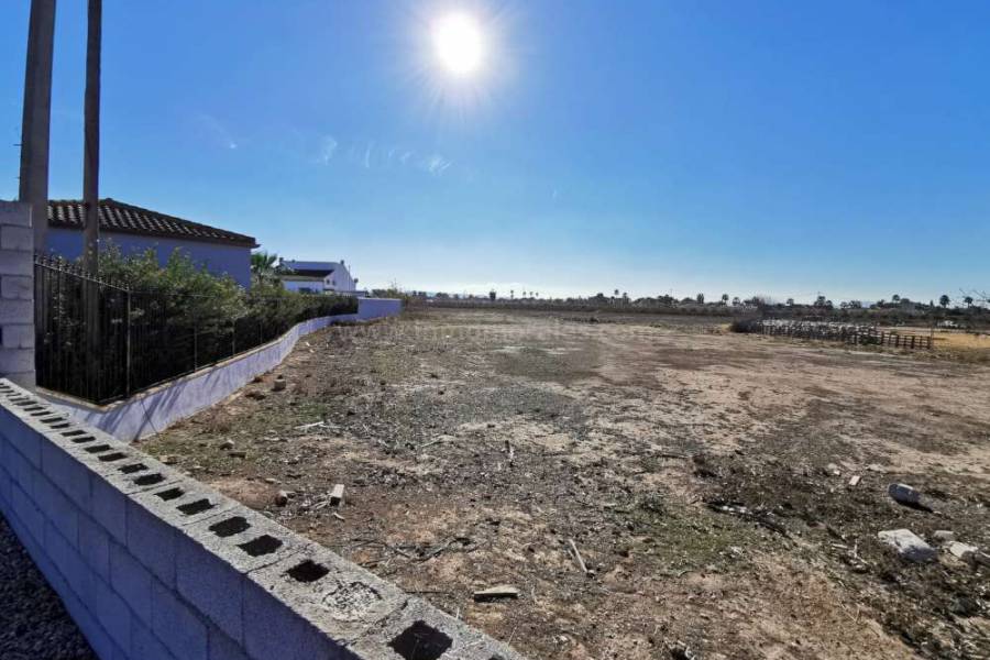 Terrenos - Terreno/Solar - Catral