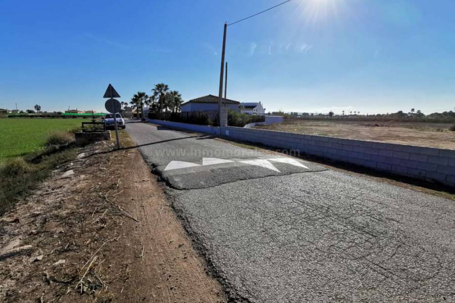 Terrenos - Terreno/Solar - Catral