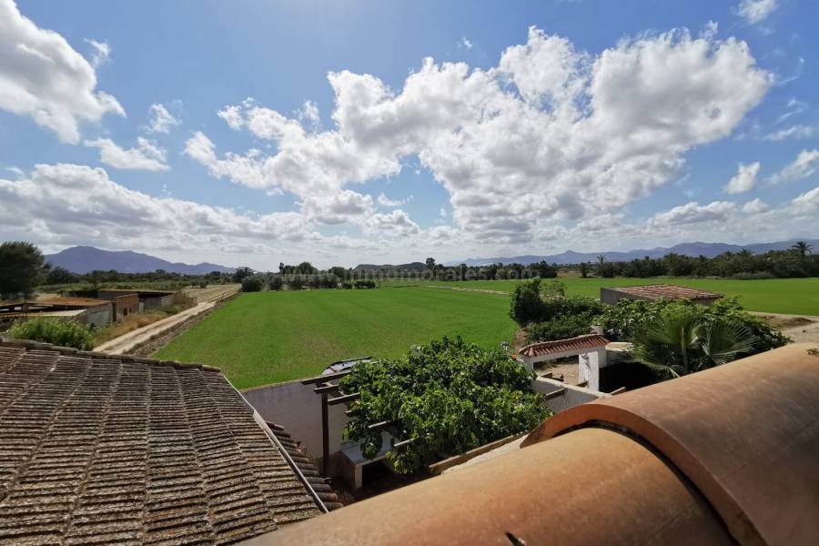 Venta - Casa de Campo - Catral