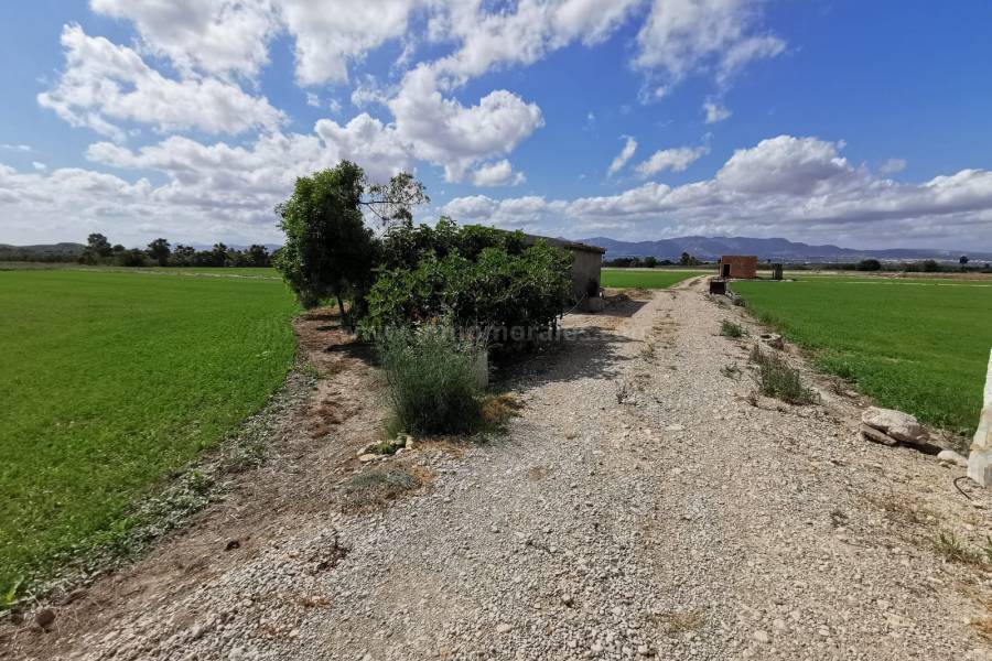 Venta - Casa de Campo - Catral