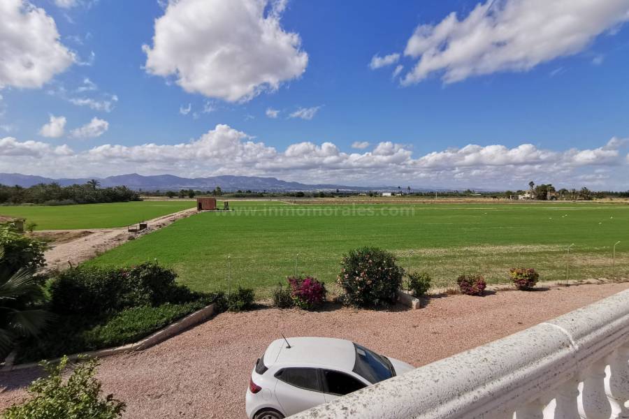 Venta - Casa de Campo - Catral