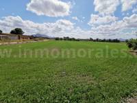 Venta - Casa de Campo - Catral