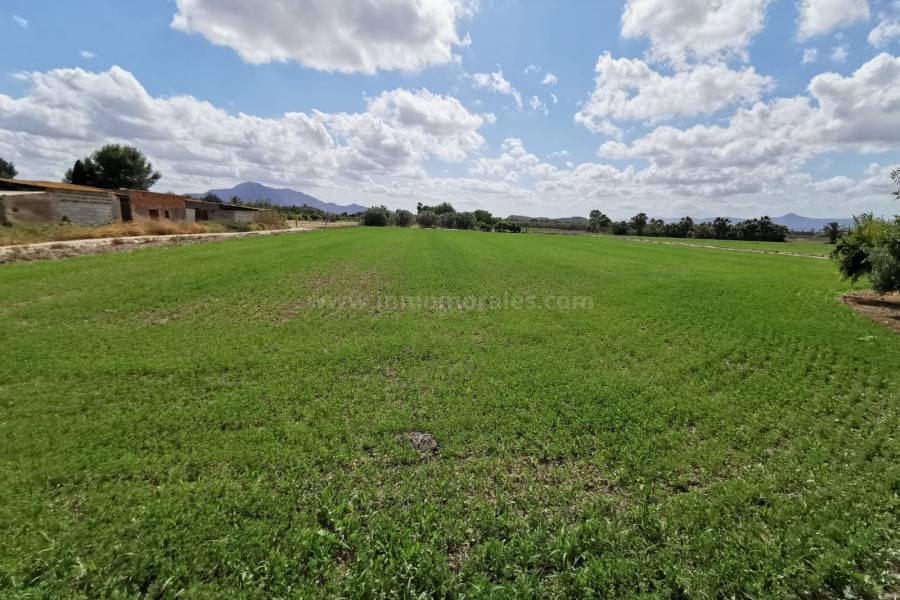 Venta - Casa de Campo - Catral