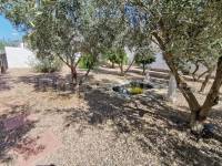 Venta - Casa de Campo - Catral