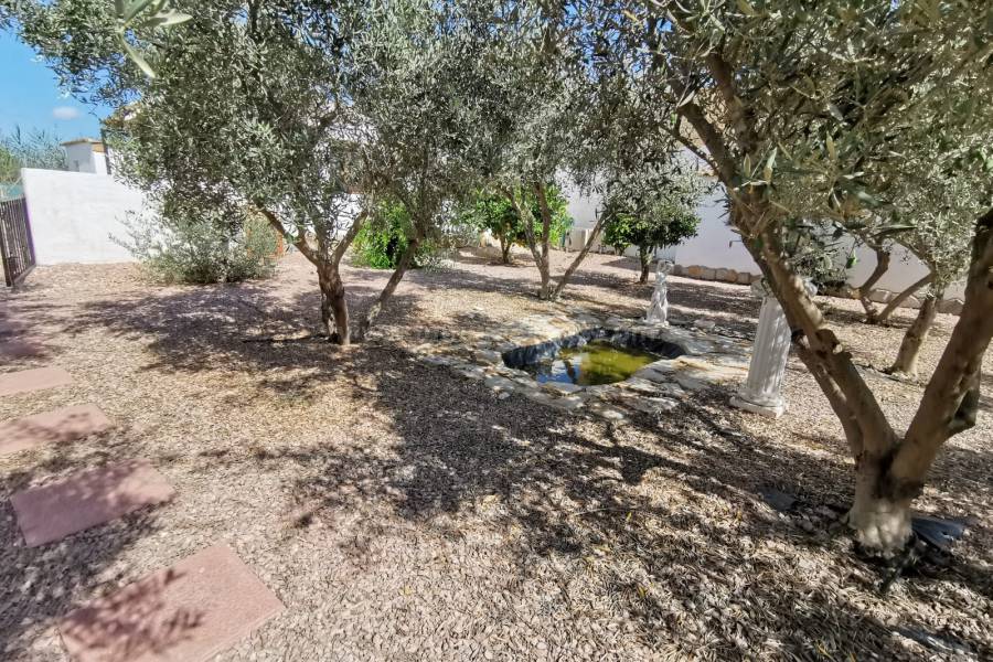 Venta - Casa de Campo - Catral