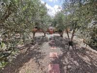 Venta - Casa de Campo - Catral