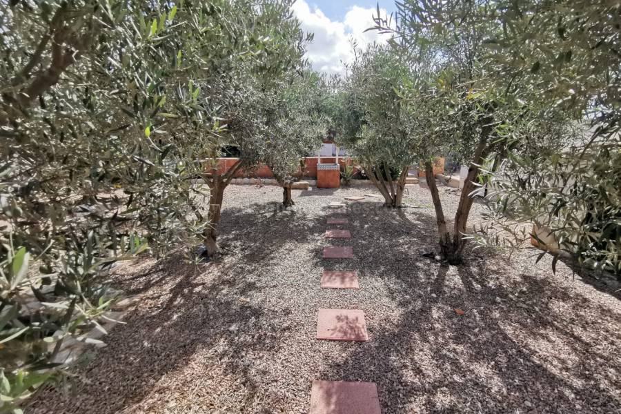Venta - Casa de Campo - Catral