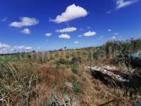 Venta - Casa de Campo - Catral