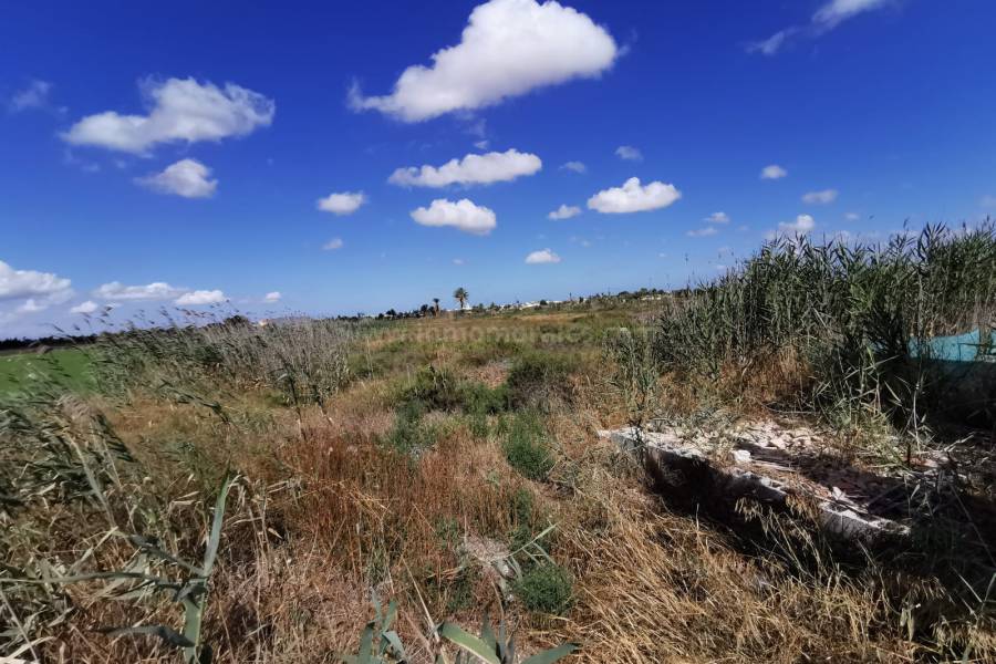 Venta - Casa de Campo - Catral