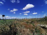 Venta - Casa de Campo - Catral