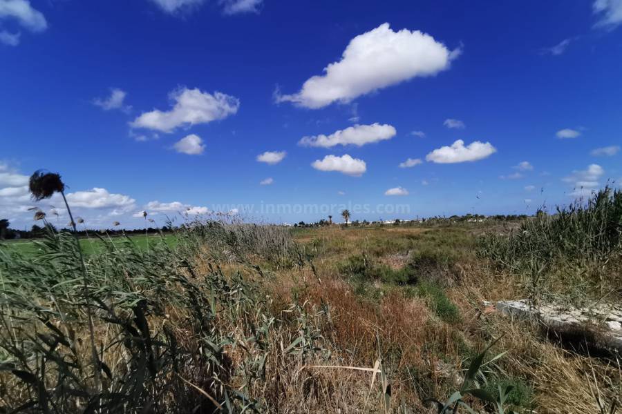 Venta - Casa de Campo - Catral