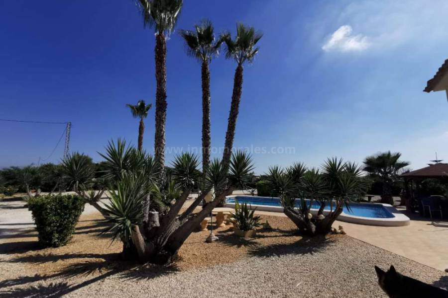 Wiederverkauf - Villa ( Finca ) - Almoradí