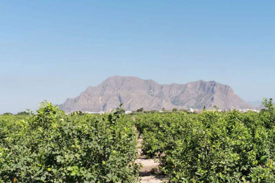 Wiederverkauf - Villa ( Finca ) - Almoradí