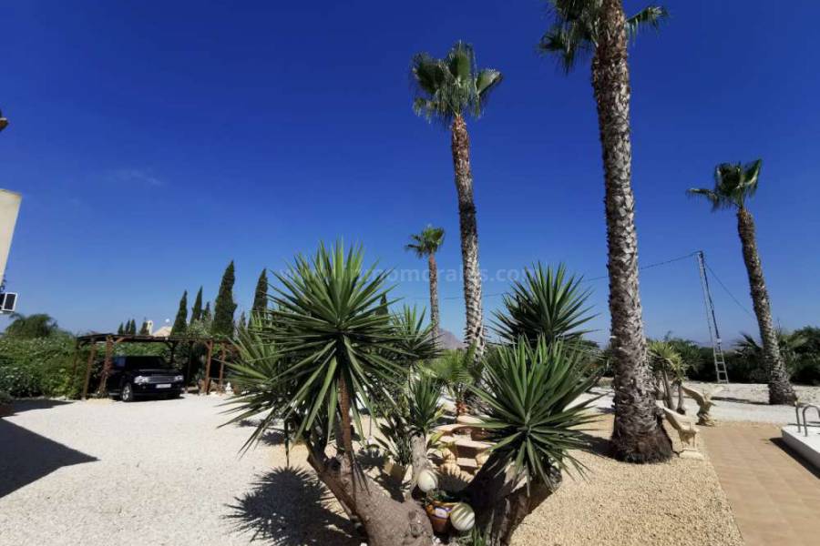 Wiederverkauf - Villa ( Finca ) - Almoradí