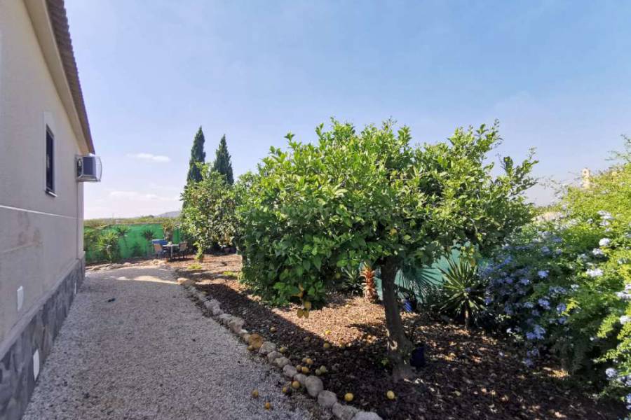 Wiederverkauf - Villa ( Finca ) - Almoradí