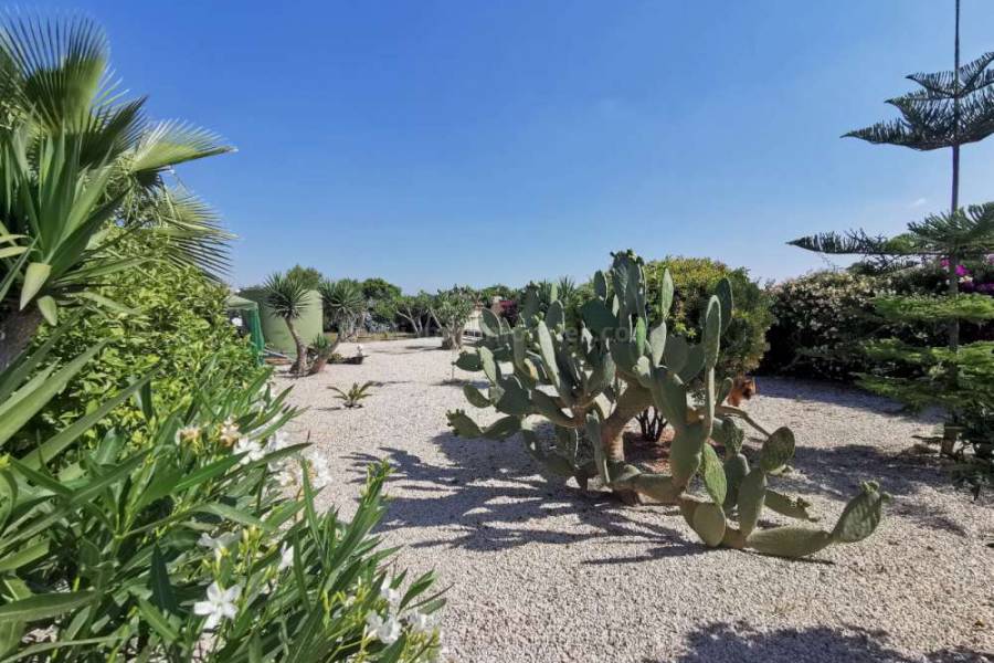 Wiederverkauf - Villa ( Finca ) - Almoradí